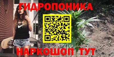сатива Рыбинск