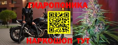 сатива Рыбинск