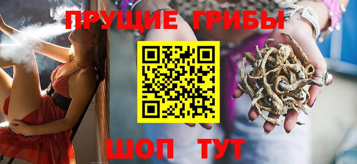 Ачхой-Мартан  Псилоцибиновые грибы мухоморы  Псилоцибиновые грибы Magic Shrooms  Вход с VPN 